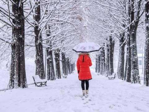Дождь со снегом и ночные заморозки придут в Дмитров в ближайшие дни Новости Дмитрова 