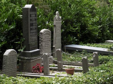 Вандалы осквернили более 50 могил в Дмитровском округе Новости Дмитрова 